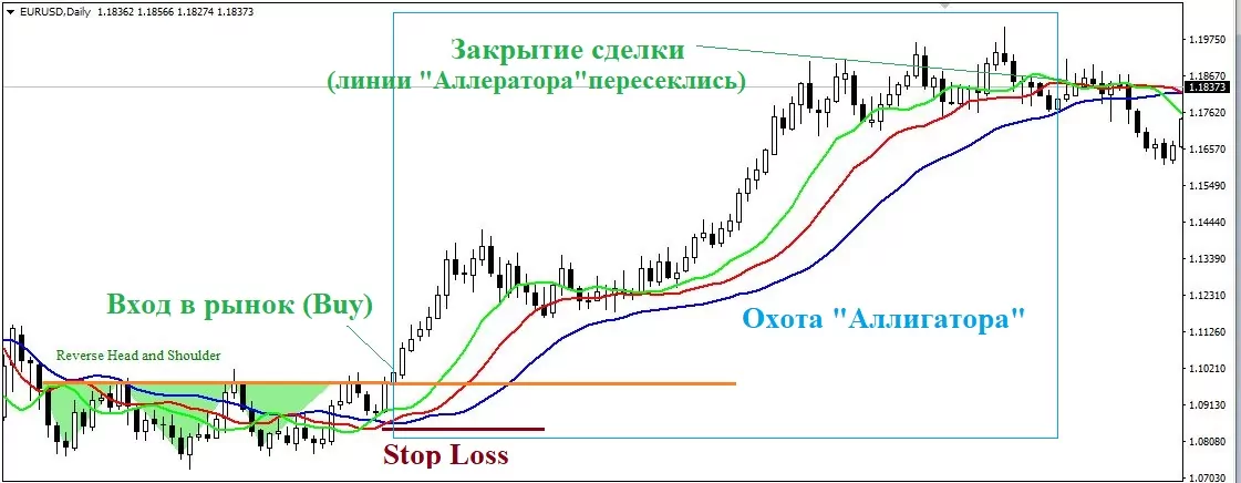 индикатор Аллигатор на Forex индикатор Аллигатор на Forex