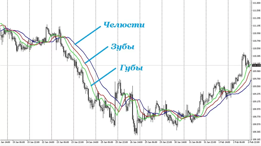 Алигатор и фракталы Алигатор и Фракталы