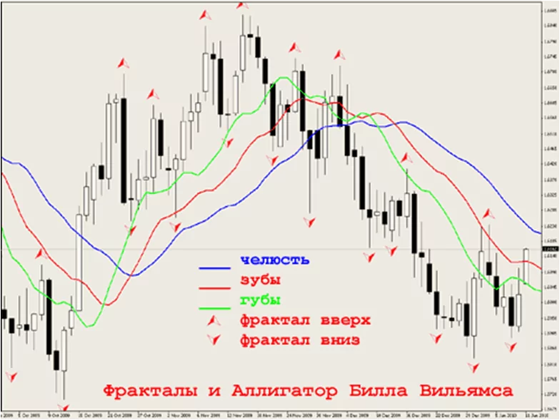 Алигатор Фракталы Алигатор Фракталы