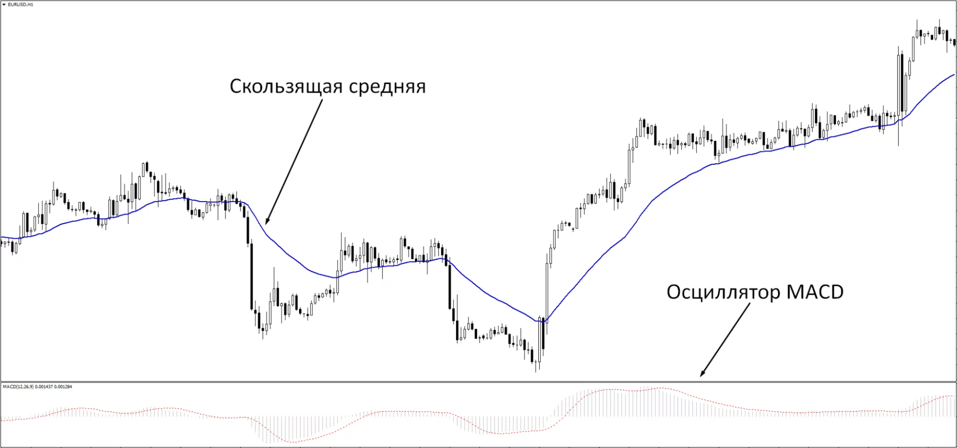 индикатор криптовалют индикатор криптовалют