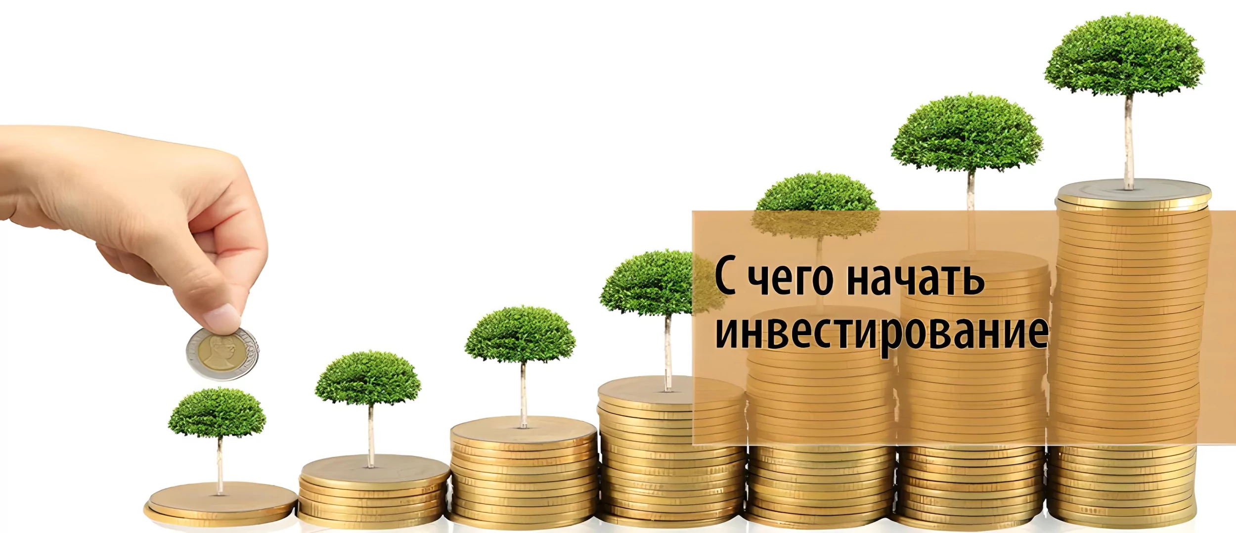 Как начать инвестировать в акции