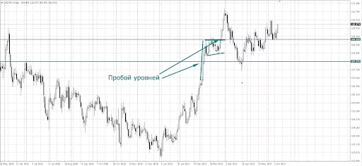 бичачий прапор фігура