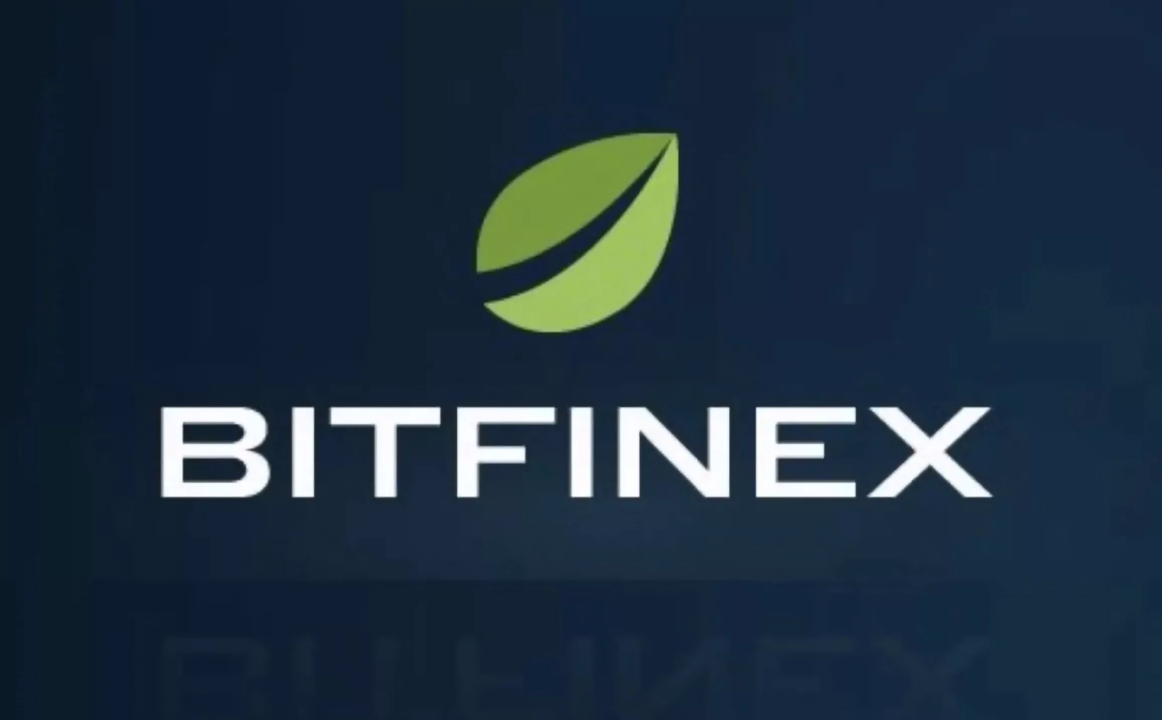 bitfinex демо счет