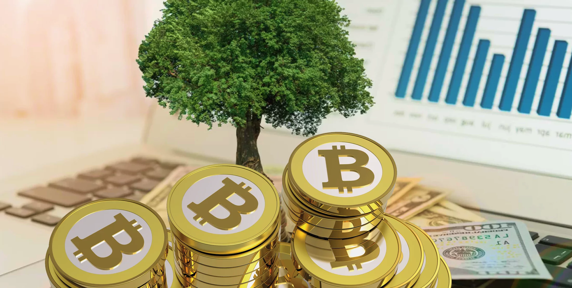 Долгосрочное инвестирование в криптовалюту
